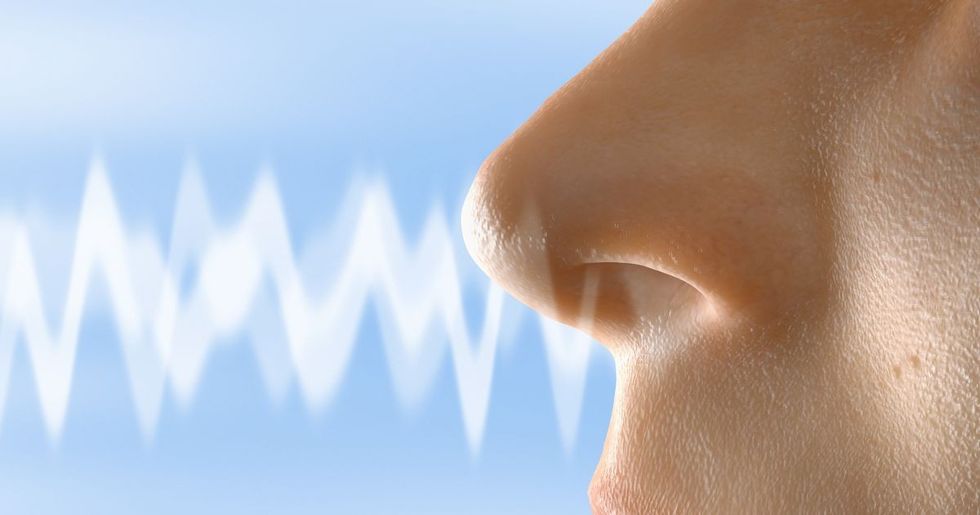 0 A smell moving towards a human nose