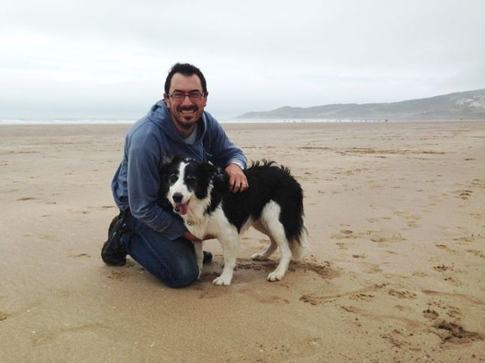 0 Dr Huw Stacey Vets4Pets