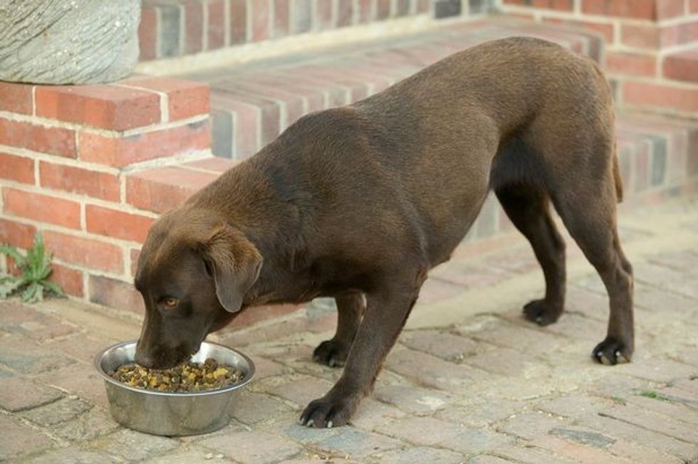 0 GettyImages 578257070