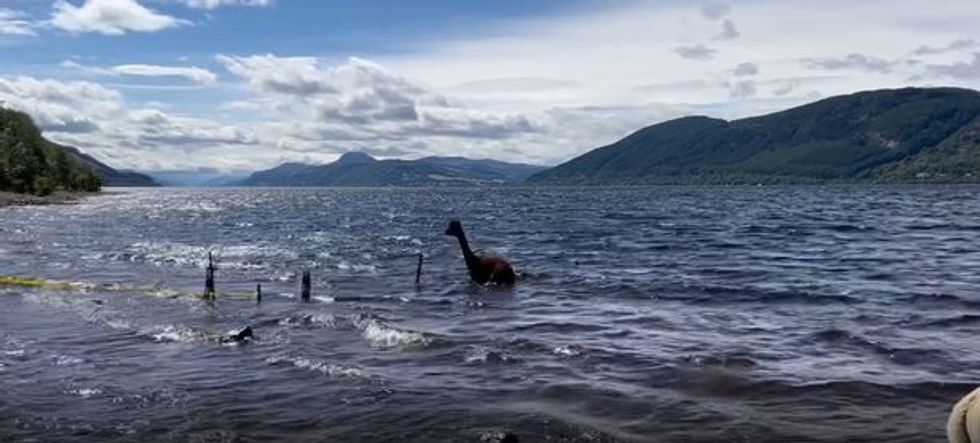 0 PAY ALPACAS SWIM LOCH NESS DN01A