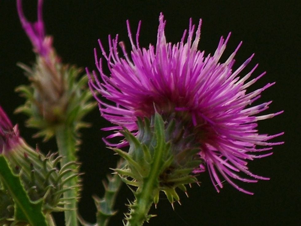 0001193762_l_0_45l51t