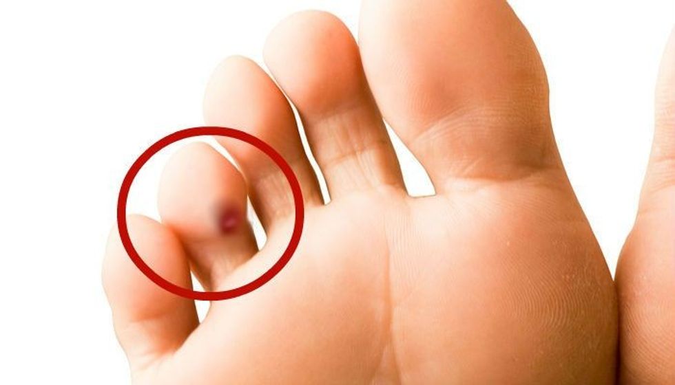 00516284e166b1b2692aac9ce708aa79