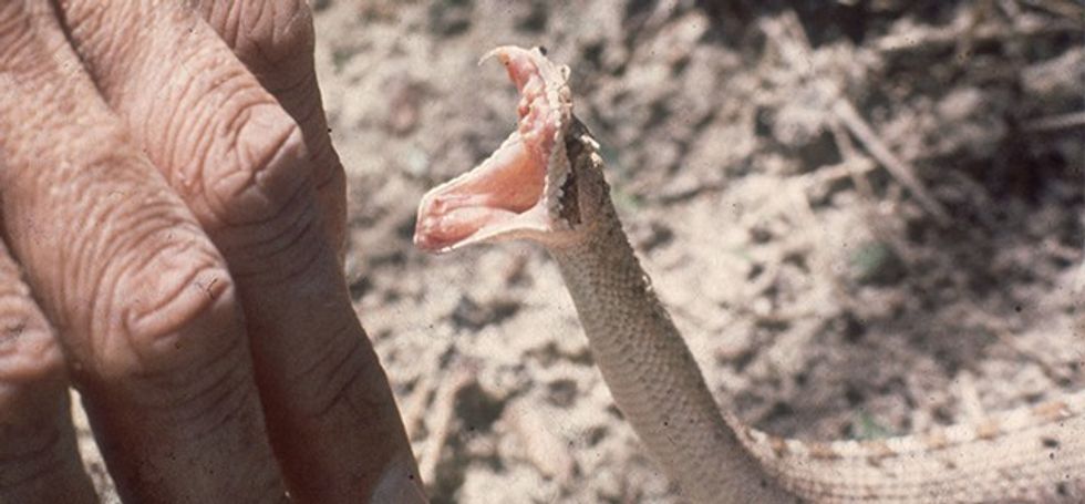 02x/28/diry/15296/28f