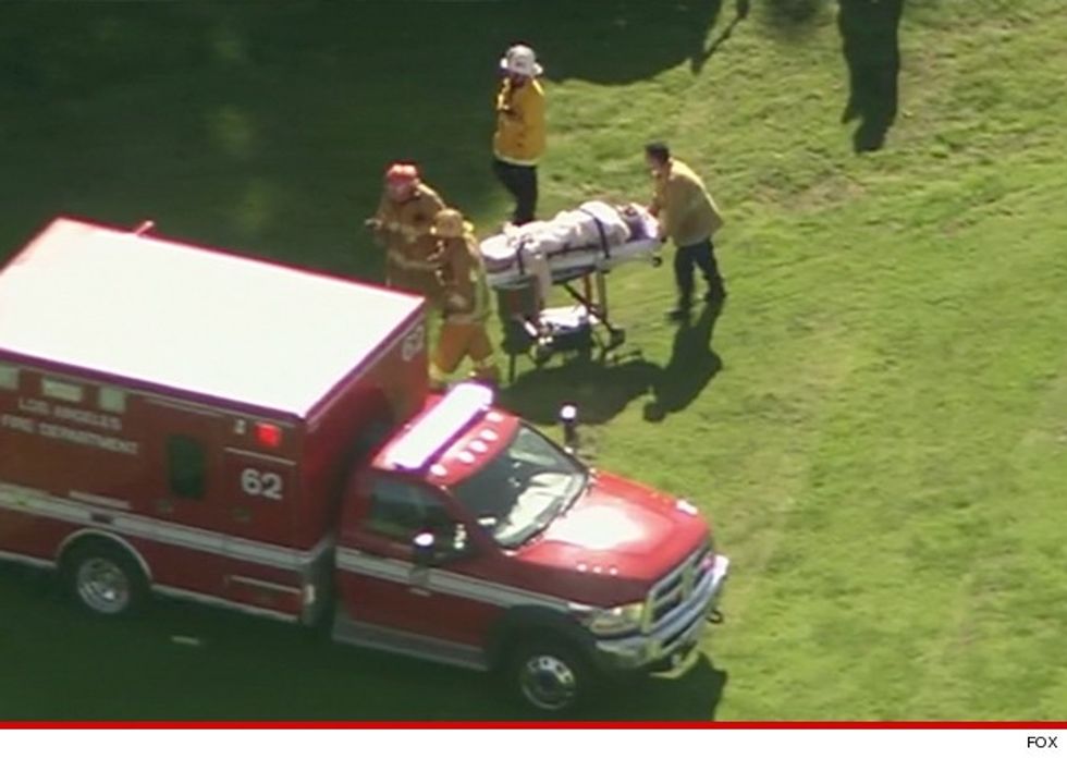 0305 sub harrison ford fox 4