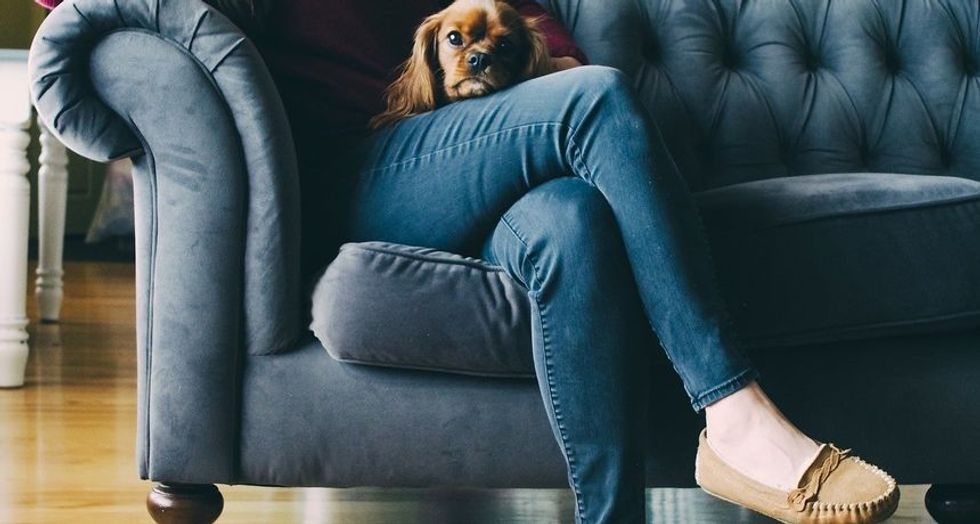 0387e825710a7be6f0a8278f009157 view article new