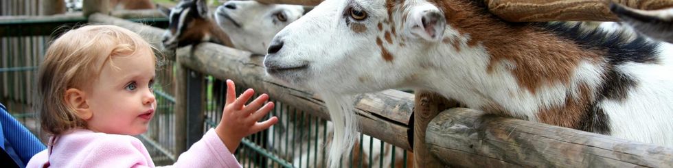 04 2 Header Algemeen ZO