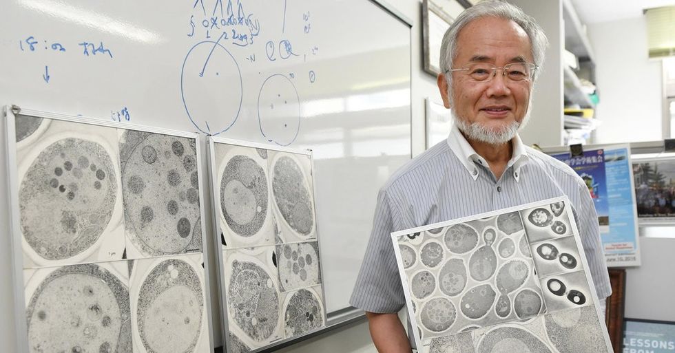 04nobel web1 facebookJumbo