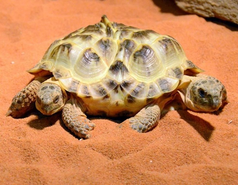 062162eb cb3c 4992 852a ec53632e9058