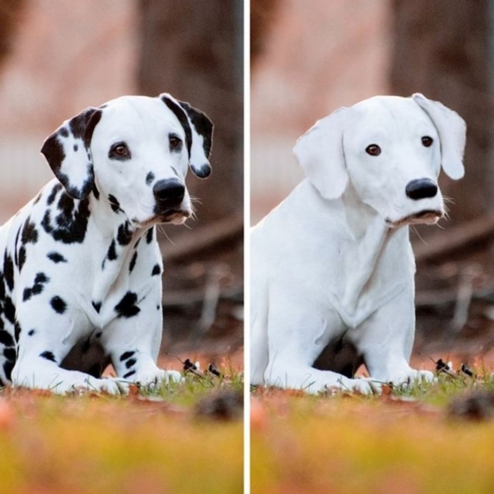 0624d1de 5887 4428 a0ad 58b6bf04fcdb