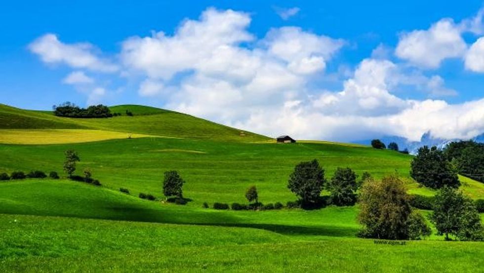 067FA8DE AD96 44D2 8ED6 96771D51AAD0