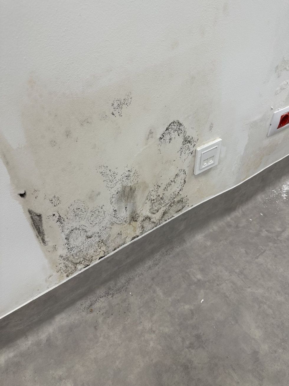 06b28d29 97a3 4c9c a118 b664b5bedac1