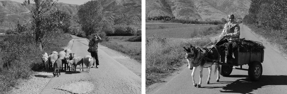 07 Burrat zadrimore BW