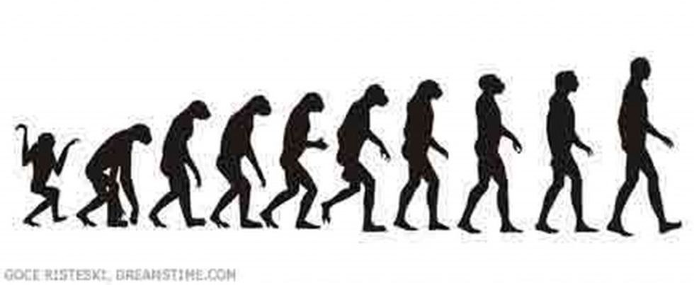 070831_human_evolution_ff-