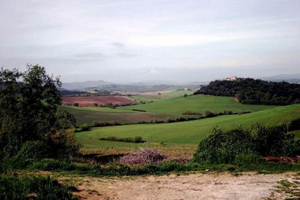 071130-landscape-02-