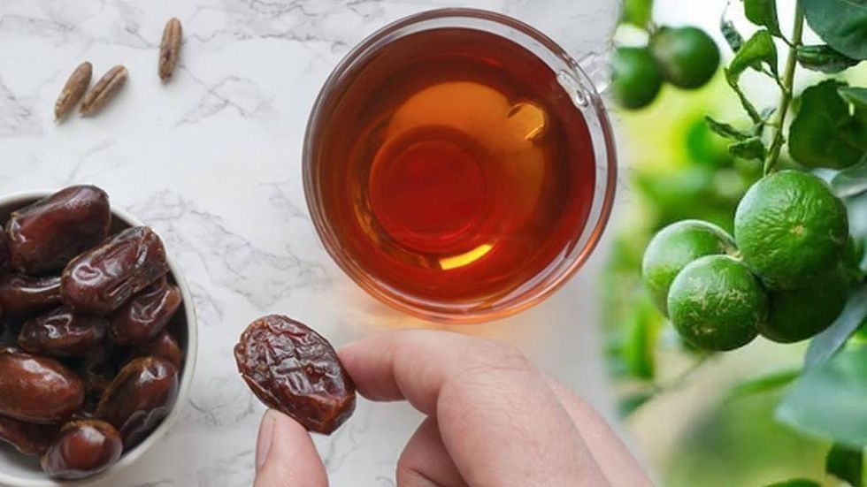 079bb1a8e0429fd933c1215e392859f2