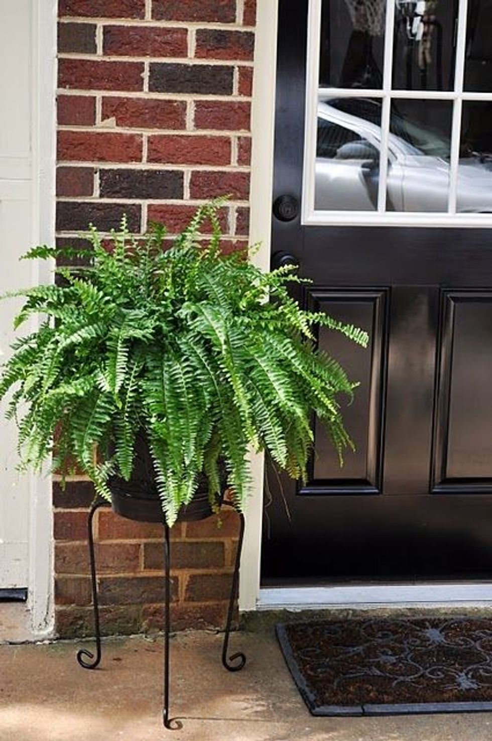 08c8026190ab693378f45a7fd991d0b9