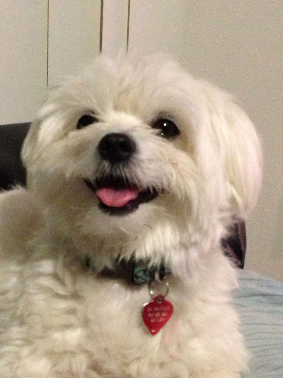 09661f25db35c665fb9ceab42fd8aa96