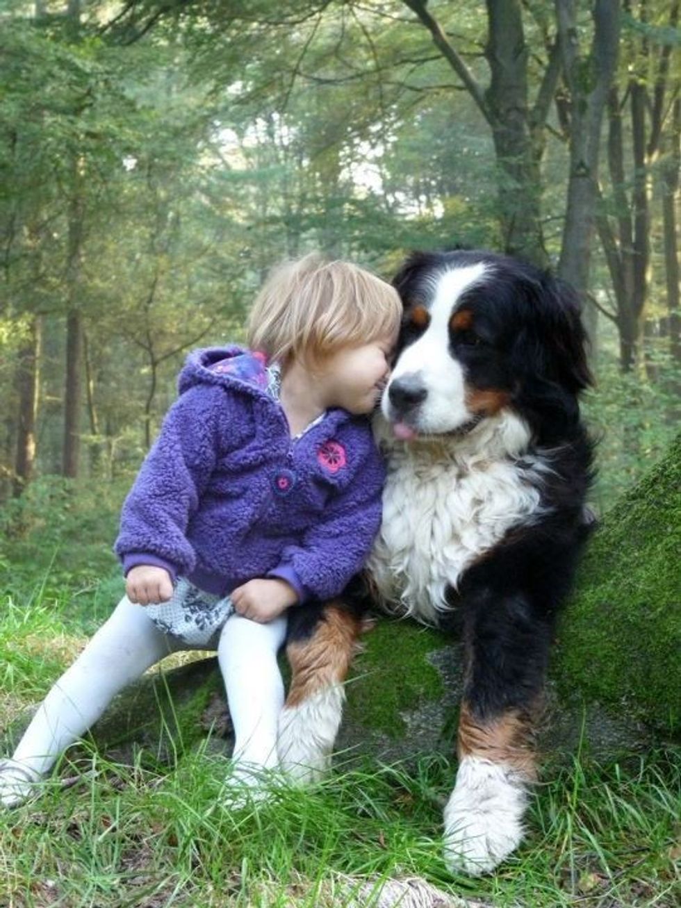 0a019abb86da535e82e258a0cb442f95