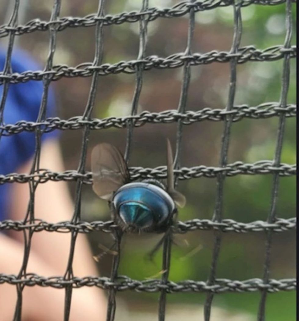 0b0f5c69 44b6 45f1 82c4 b53a6887544c