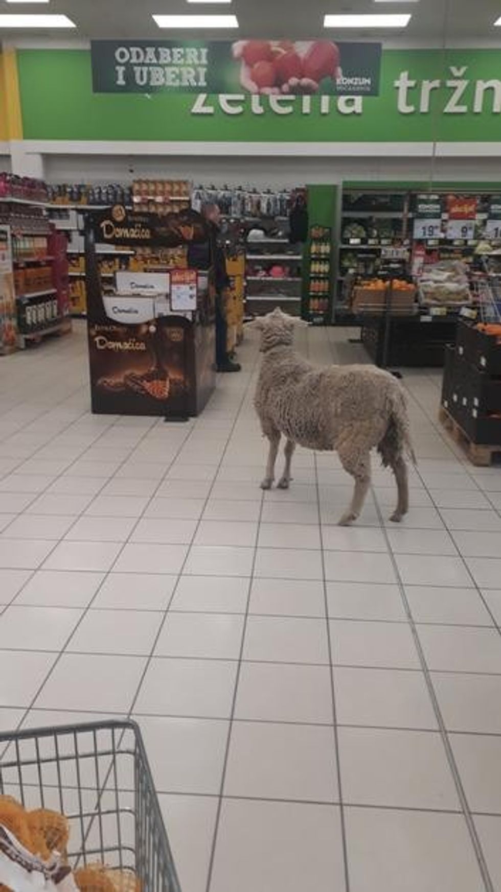 0bc5aad6020861e9a6c5