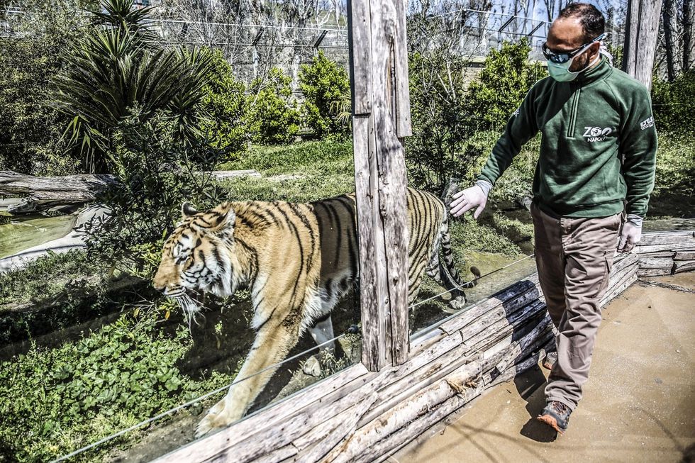 0c784a40 84ad 11ea bdfb 1f890448d4c7