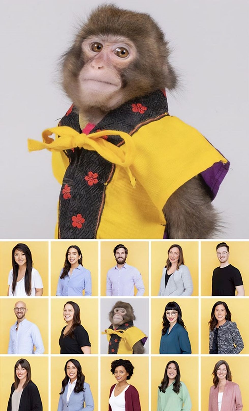 0d063a5c 9ebe 4d4e bb15 e2ff9b7987b2