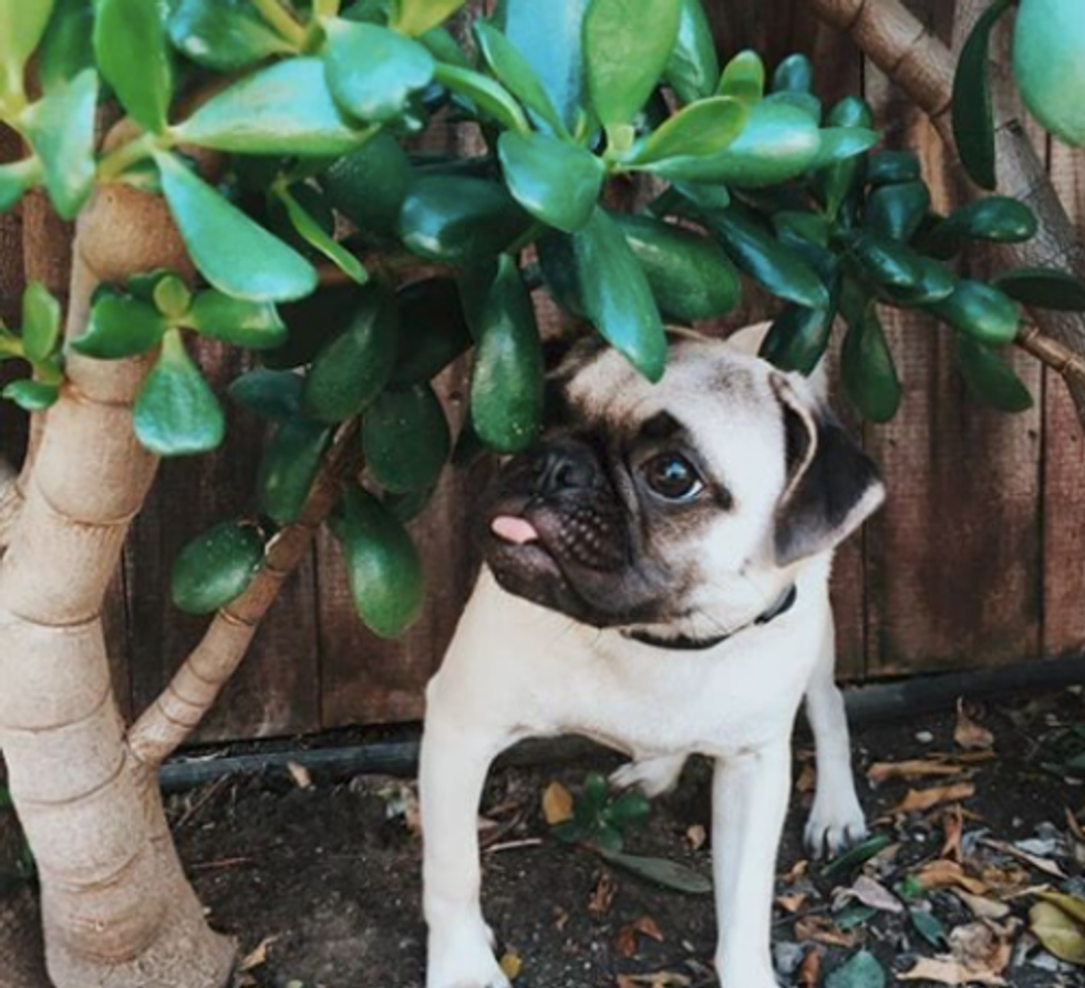 1 6PzNBwcvW1SsN9dBTOp9Ww