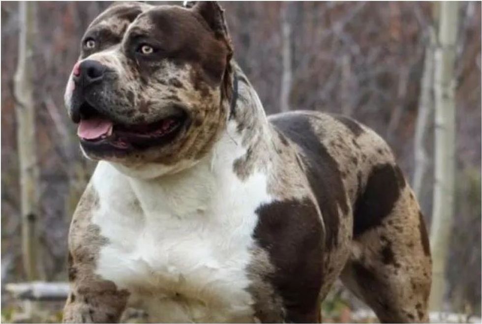 1 785 0 65081eea81e68