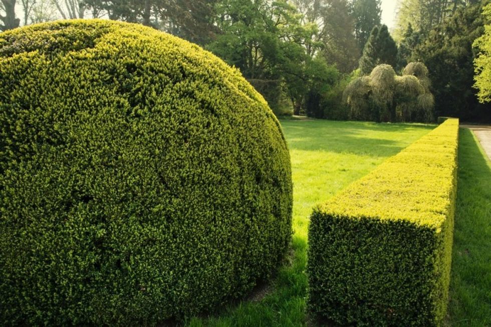 1 garden