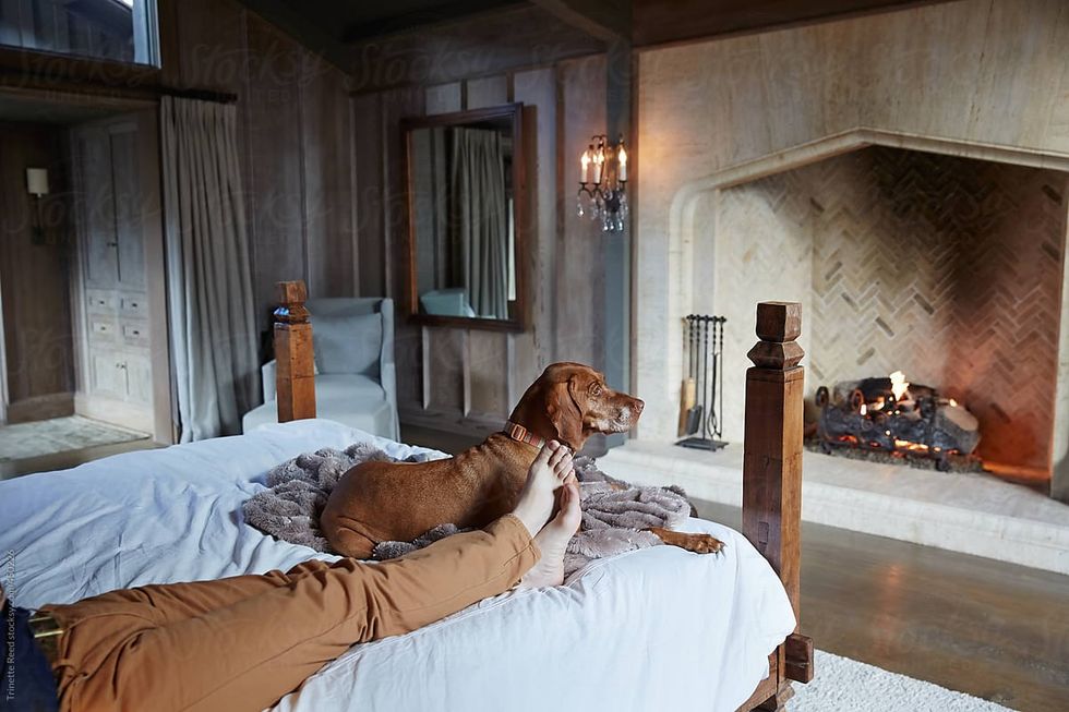 1000 F 596138455 qkSyFtAuePZDjI1BRq0qEtcQ2zVKYSbz