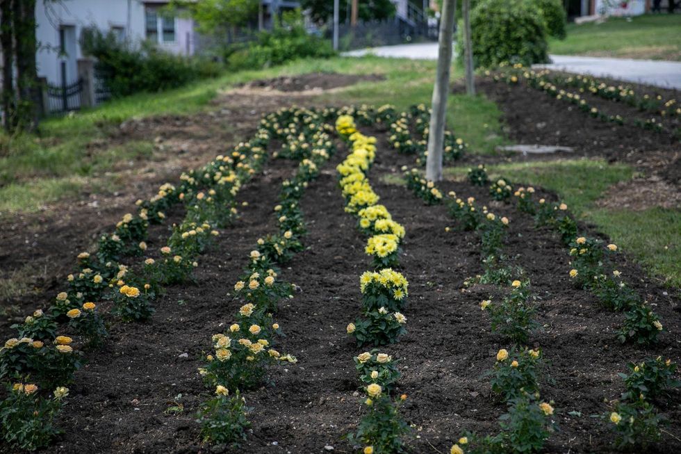 100540359 278278386888755 105305988143251456 o