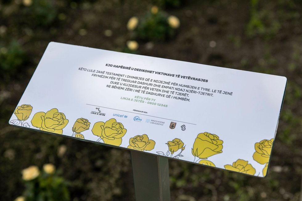 100934454 278278313555429 7373806398750064640 o