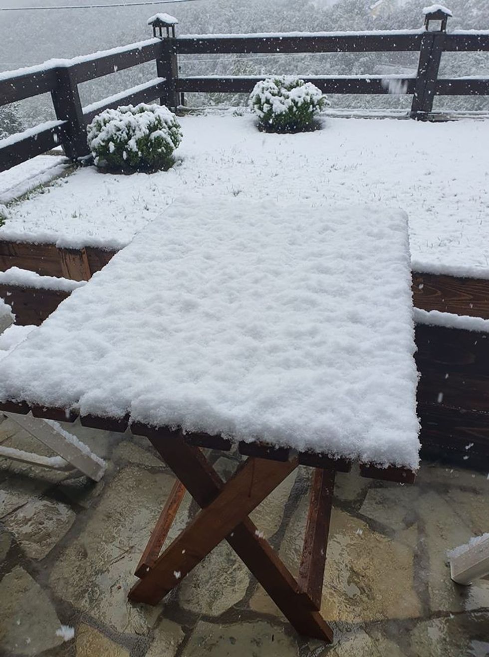 101387020 251383366299948 8549929153481146368 o