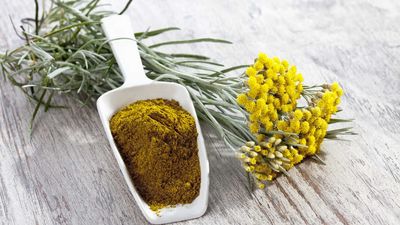 2022/01/curry-plant-helichrysum-italicum-and-shovel-with-curry-powder-CSF019876.jpg