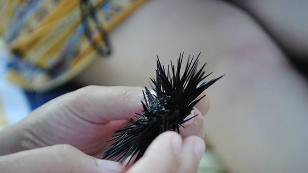 1072073 331444406987271 973798139 o