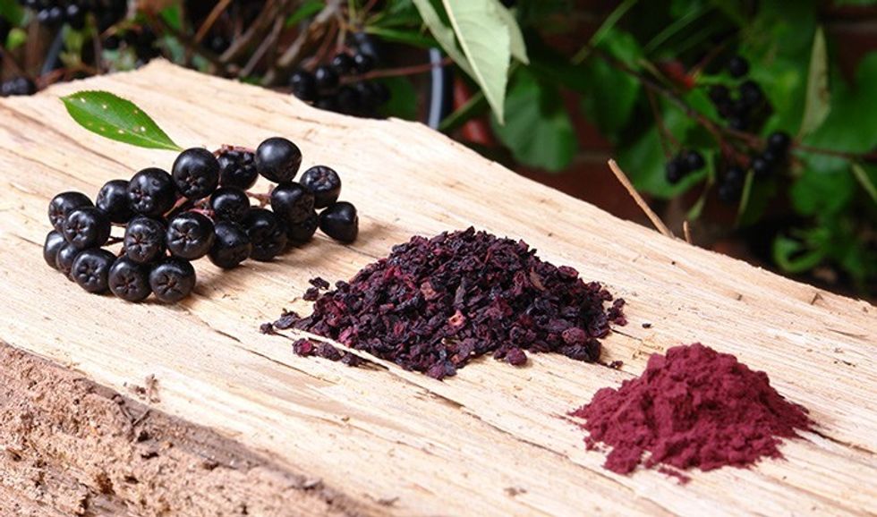 10Black Berry Aronia 10 1 Extract 520mg 3