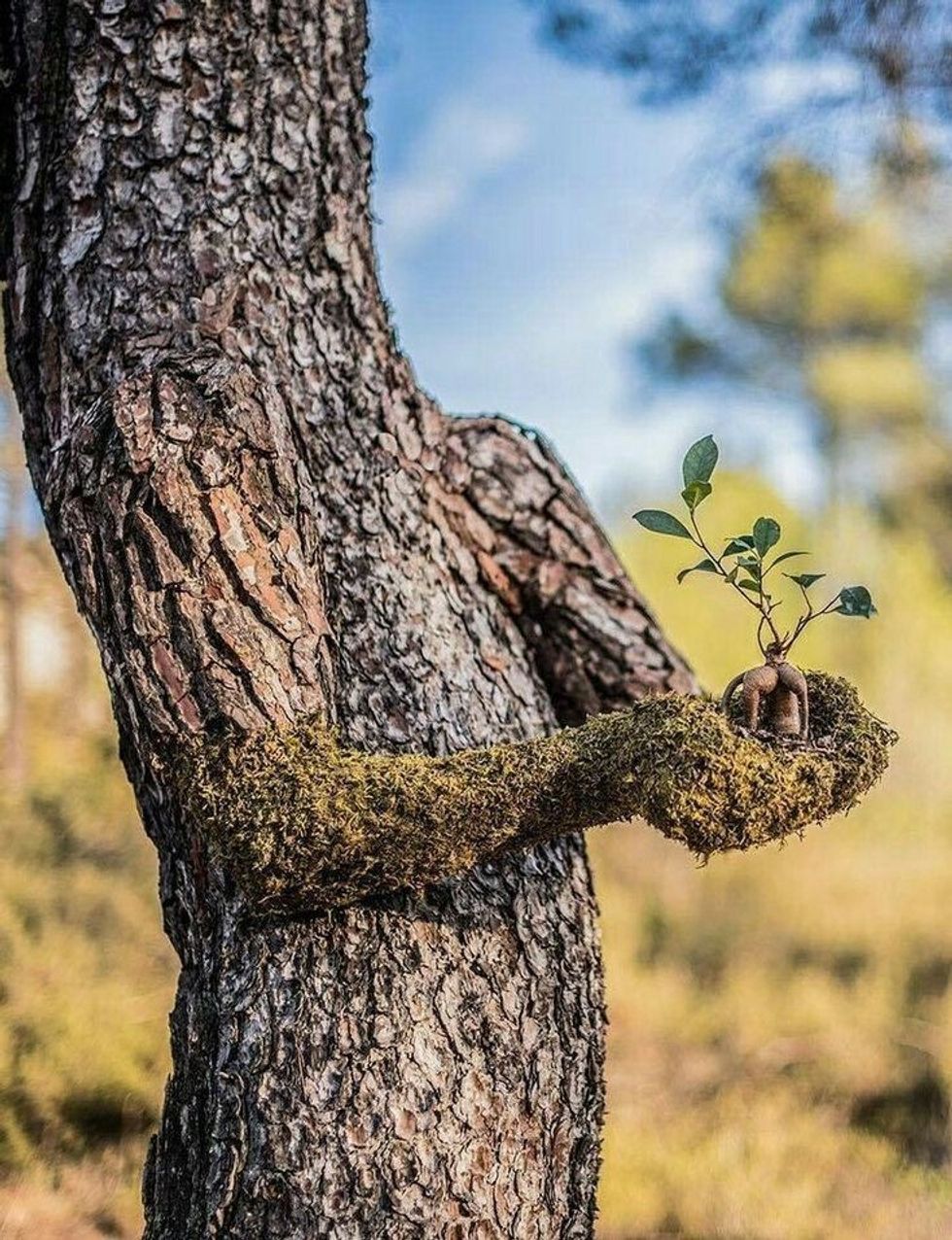 110f10c5da757800e676a55c7a373db2