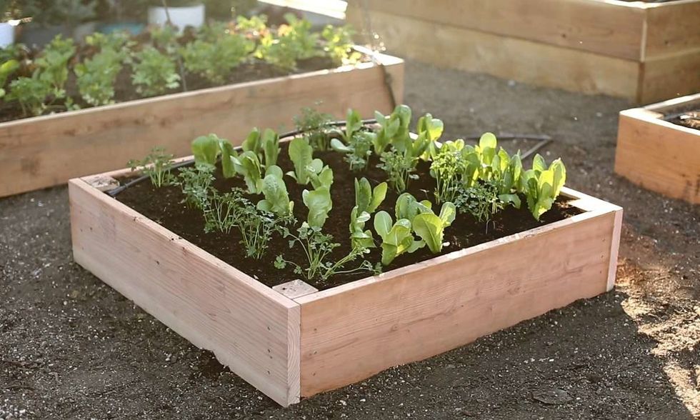 1138497952 4236609337001 video still for video 4221553758001 1