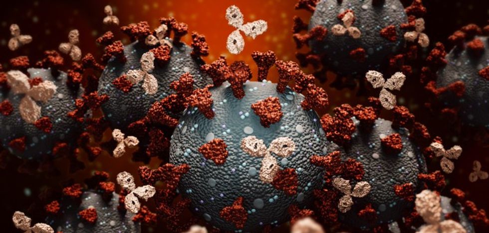 114285 iStock 1218792909.jpg 18fefe4f 4dd3 4e6b 946f 364a5f607f4d