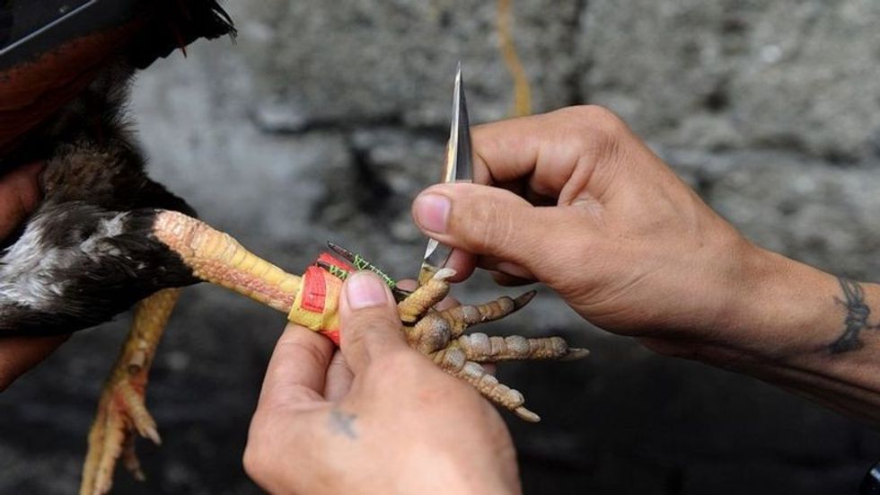 115096269 gettyimages 453422856