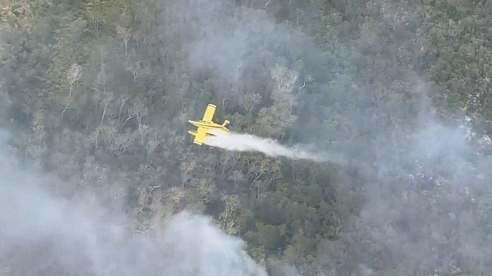 115817210 064609062 1