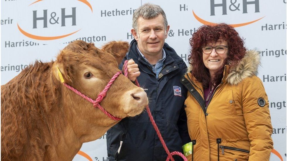 116817713 hi065521108 2