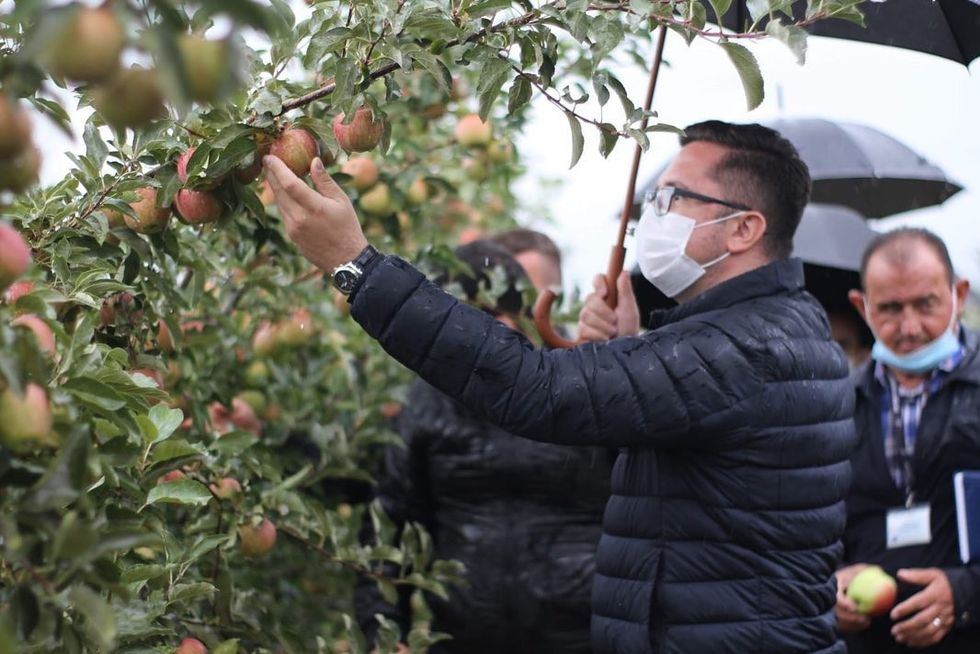 116910031 1192738187743736 3686395086098090993 o