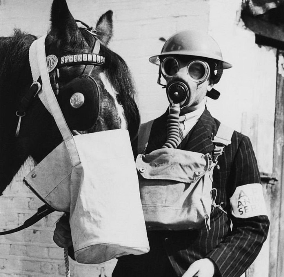 117073121 f3f349c5 d5ff 4cc1 8cdb 019f9940efc4 e1614008986749