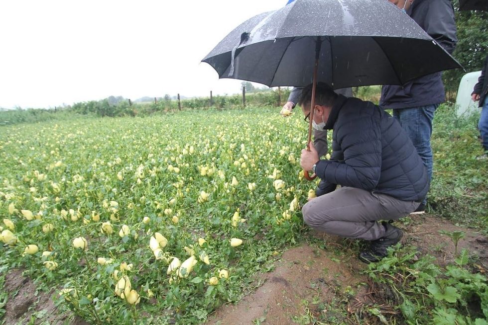 117112290 1192738151077073 4154962055166749623 o