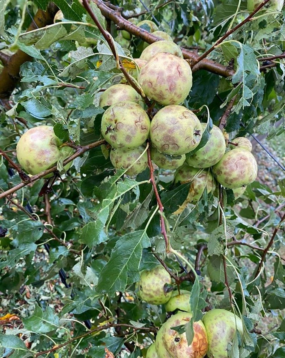 117120675 4130942453642749 7103185828904770935 o