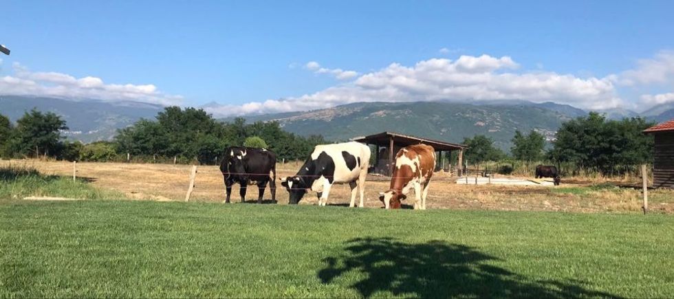 117131225 699092524279982 4571318639752780461 n