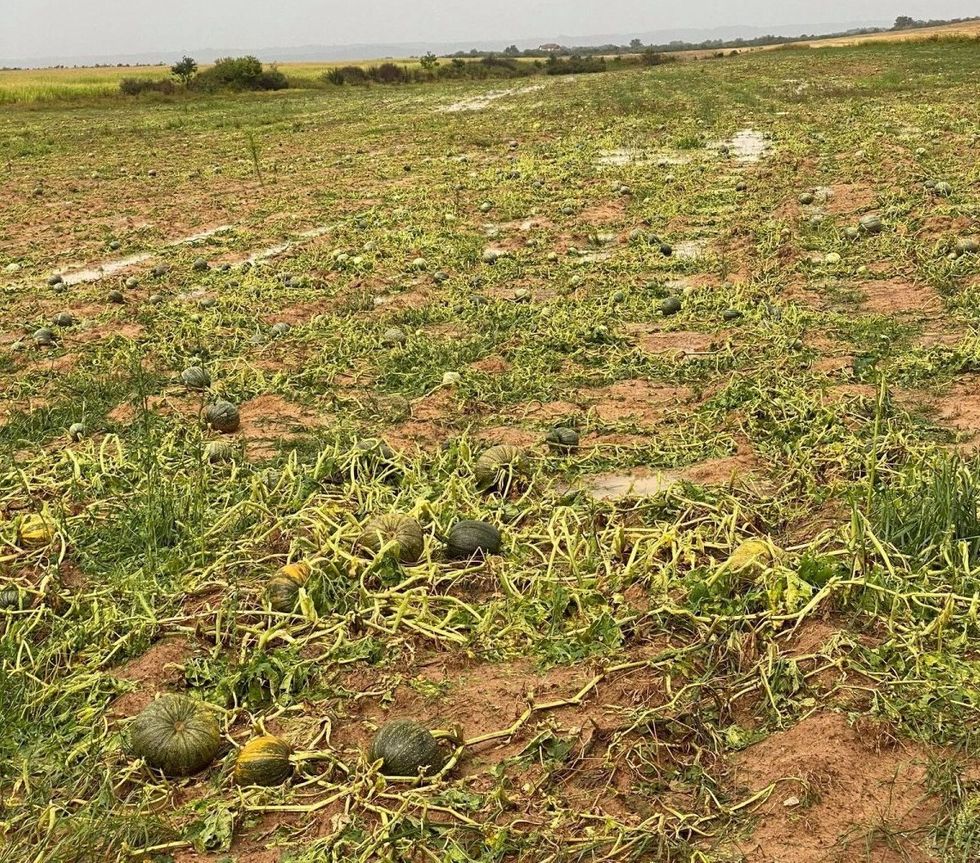 117294042 4130940120309649 1158133724247736539 o