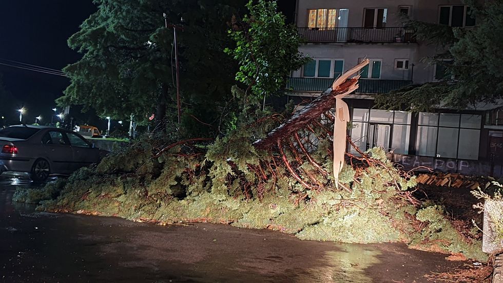 117888321 225156298856888 2416157117133546601 n