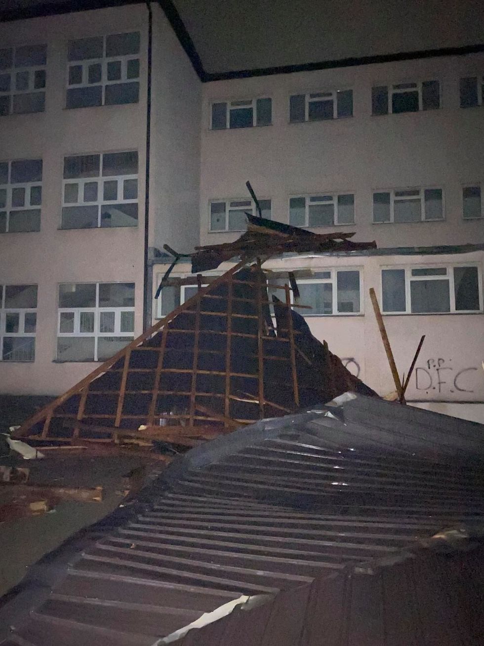 118081095 2782144172029842 3700436406878561957 o